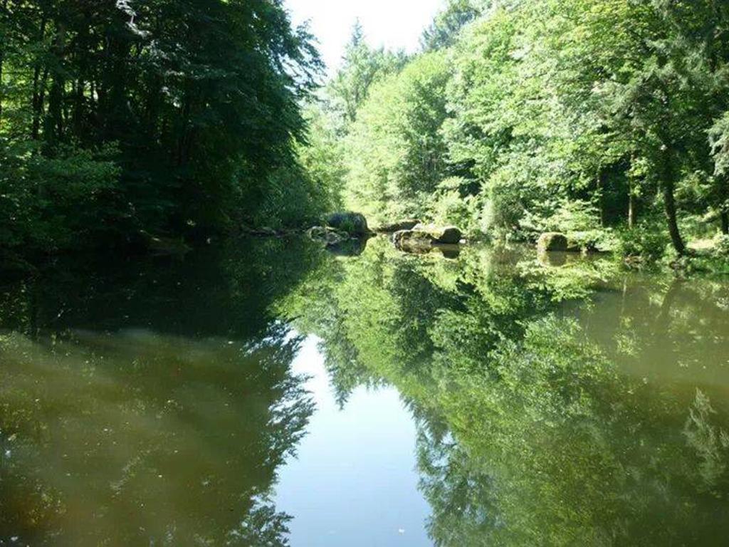 Moulin de Record Villa Ferrieres  Exterior foto
